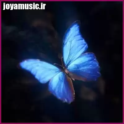 دانلود آهنگ ساقیا ننتو کنم بوس