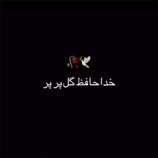 دانلود آهنگ مهدی دارابی (هوروش بند) خداحافظ گل پرپر