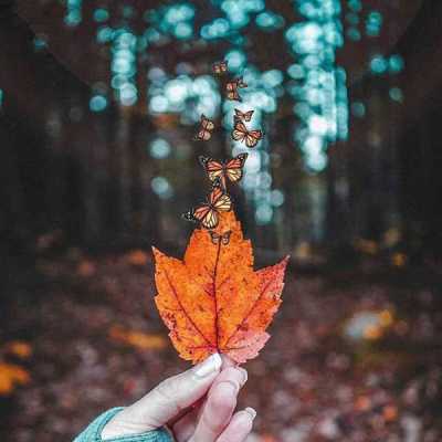 دانلود آهنگ ما میخوایم مست کنیم ما دانلود آهنگ ما میخوایم مست کنیم ما