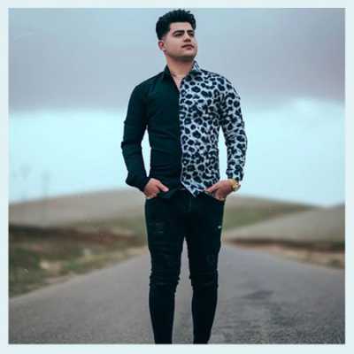 دانلود آهنگ امیرحافظ رنجبر در سکوت شب