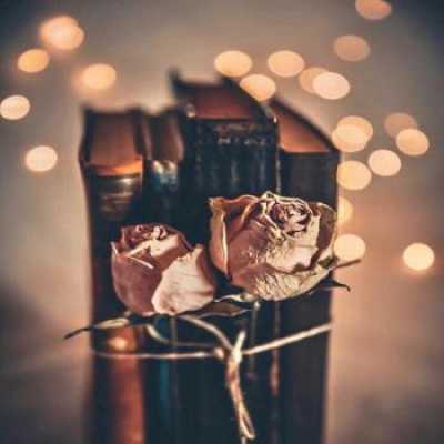 دانلود آهنگ بگو کدوم یاس سپید به خلوت بوسه رسید