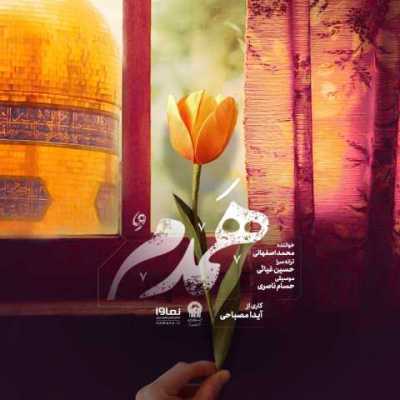دانلود آهنگ محمد اصفهانی همدم دانلود آهنگ محمد اصفهانی همدم