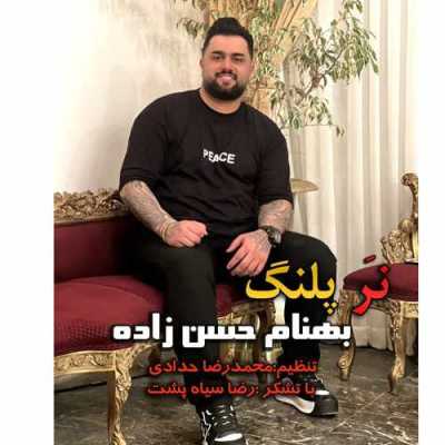 دانلود آهنگ بهنام حسن زاده نر پلنگ