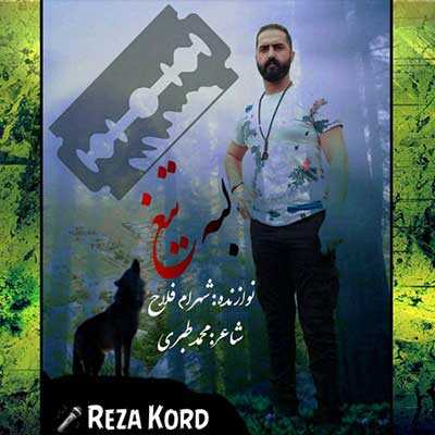 دانلود آهنگ رضا کرد لبه تیغ