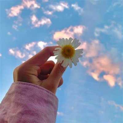 دانلود آهنگ شری ام کیس