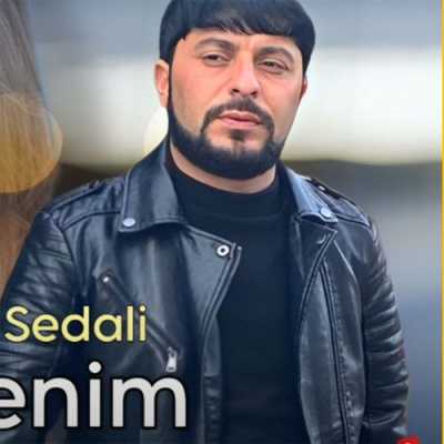 دانلود آهنگ تورال صدالی دلیم منیم