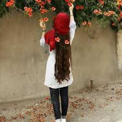 دانلود آهنگ افتادی تو تله اون که توشی عشق نیست رابطه نیست دانلود آهنگ افتادی تو تله اون که توشی عشق نیست رابطه نیست