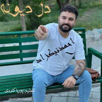 دانلود آهنگ احمد نیکزاد دل دیونه