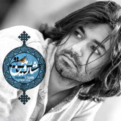 دانلود آهنگ بی تابی و دلبر و دلدار