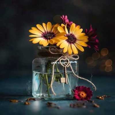 دانلود آهنگ من عاشقشم میدونی خاله