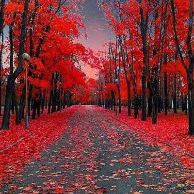 دانلود آهنگ هایده ای خدا