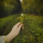 دانلود آهنگ تو رو اون لحظه که دیدم به بهانه هام رسیدم