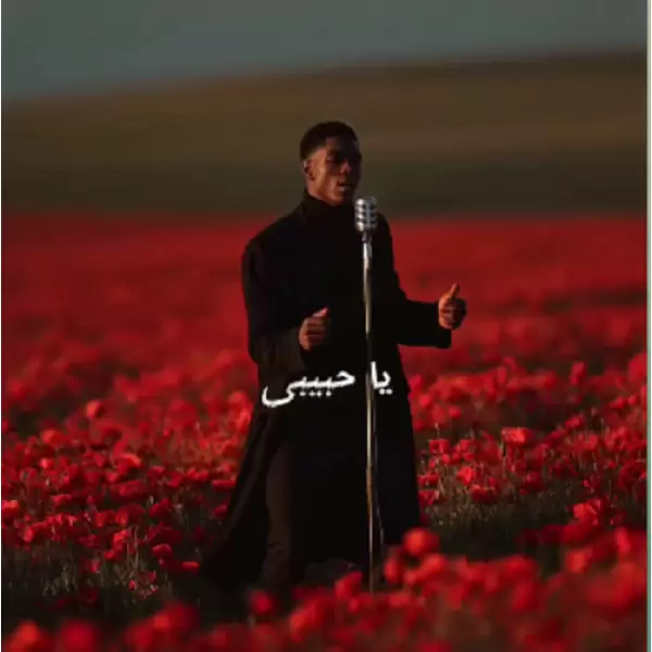 دانلود آهنگ Mi Amor از Hamex موزیک عربی یا حبیبی ترند اینستا