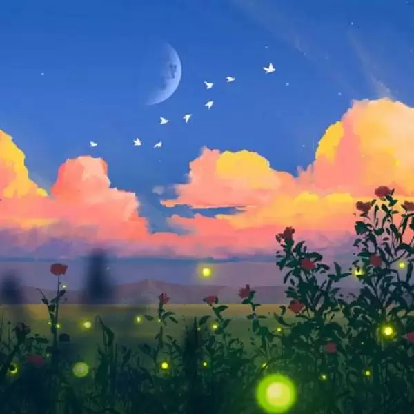 دانلود آهنگ منو پر پر کردن رفت از نورا با صدای زن ترند اینستا