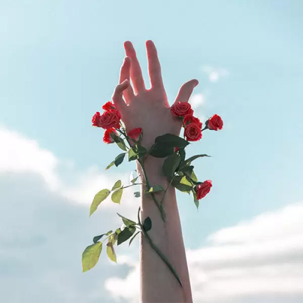 دانلود آهنگ ریمیکس dead rose 4