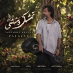 دانلود آهنگ والایار تمشک وحشی